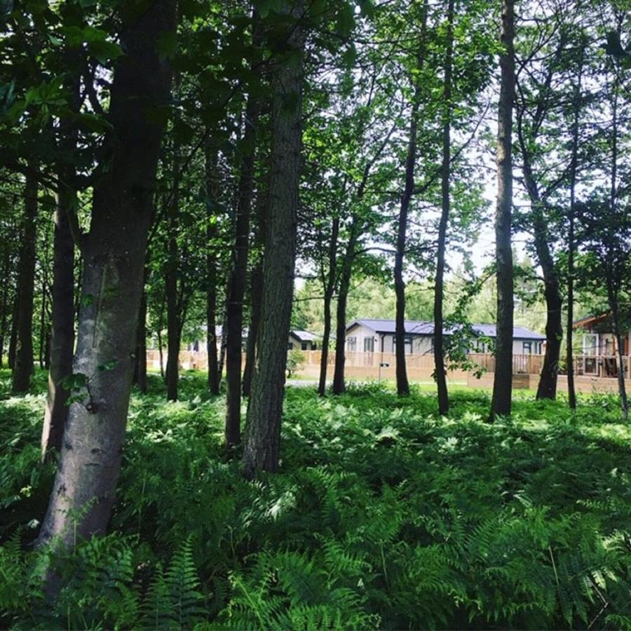 Hollicarrs - Stag Lodge York Luaran gambar