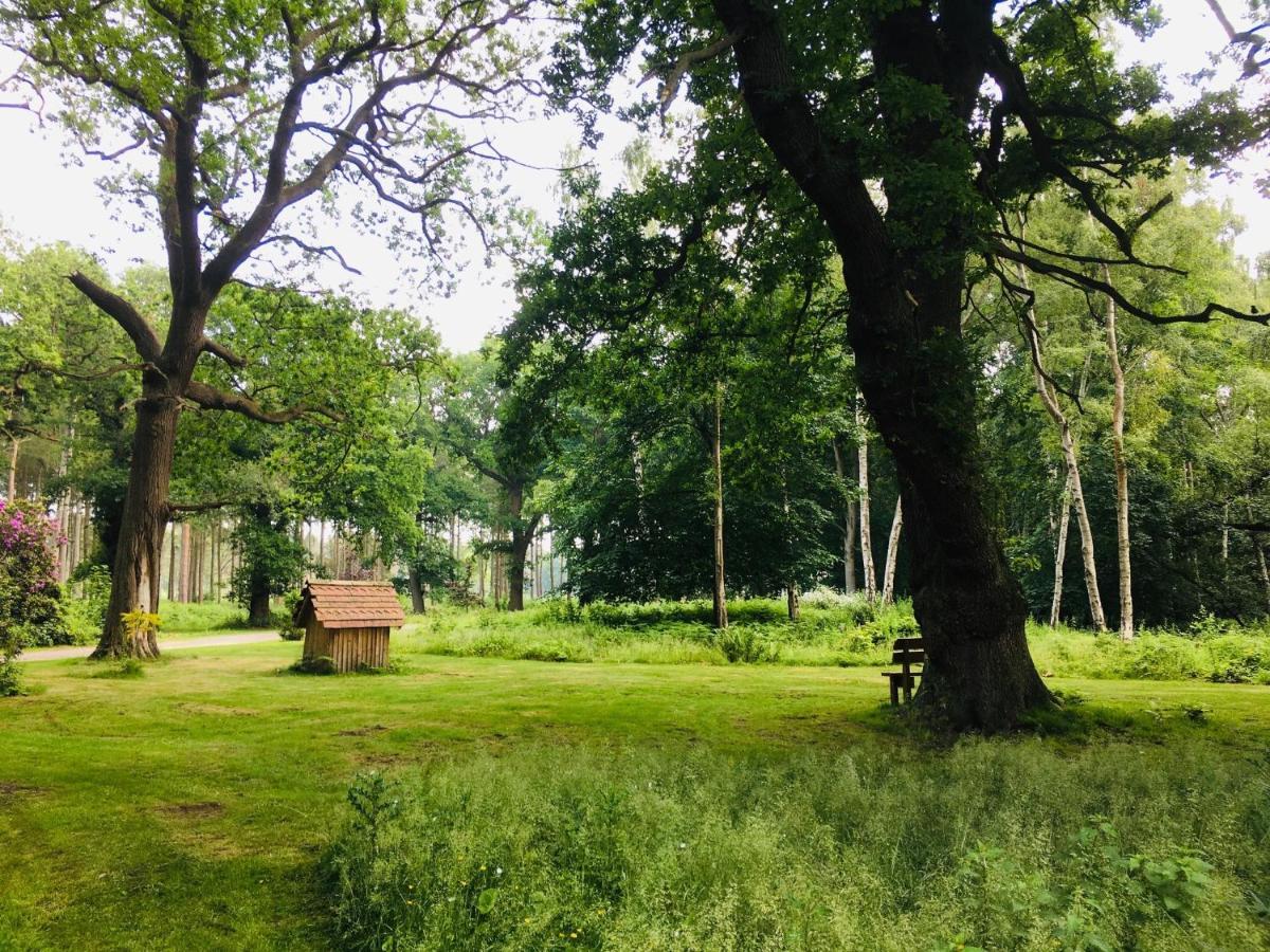 Hollicarrs - Stag Lodge York Luaran gambar