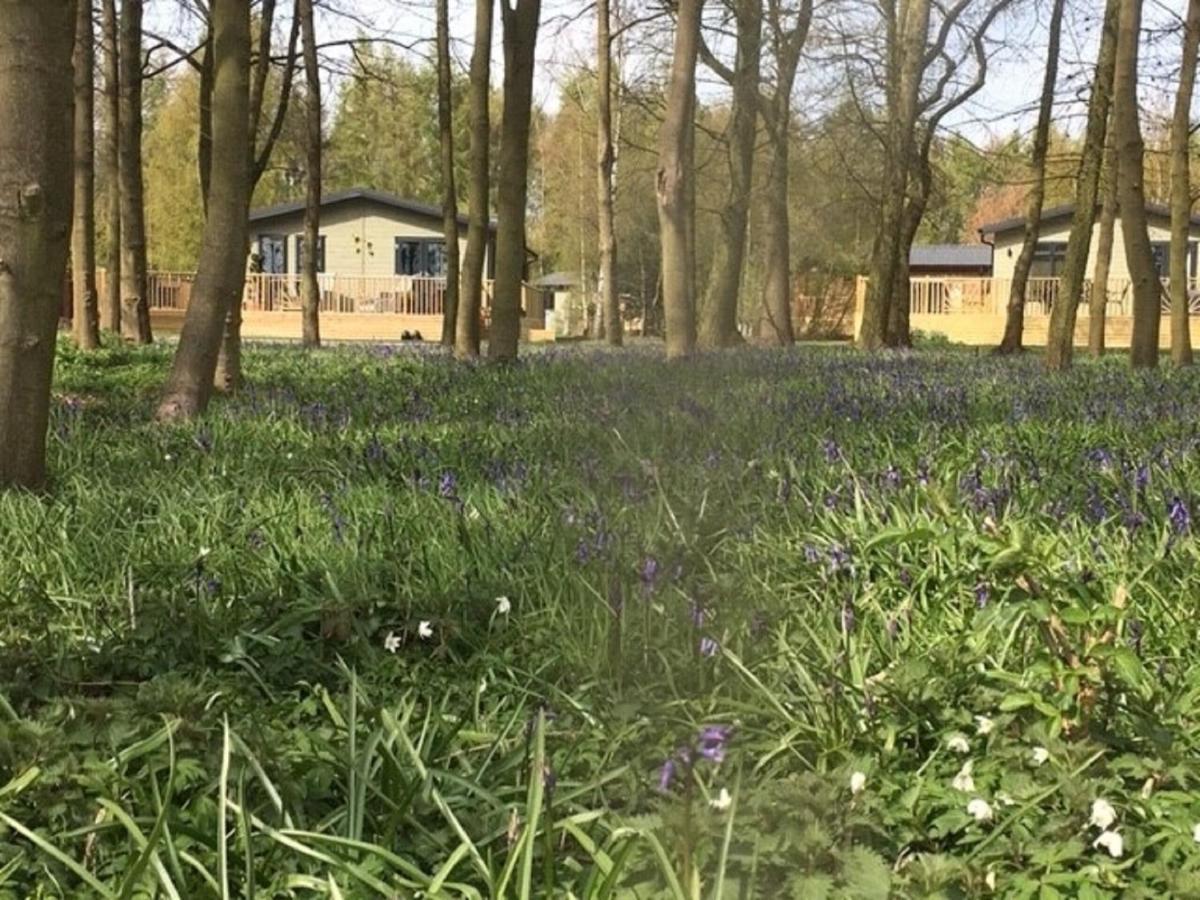 Hollicarrs - Stag Lodge York Luaran gambar