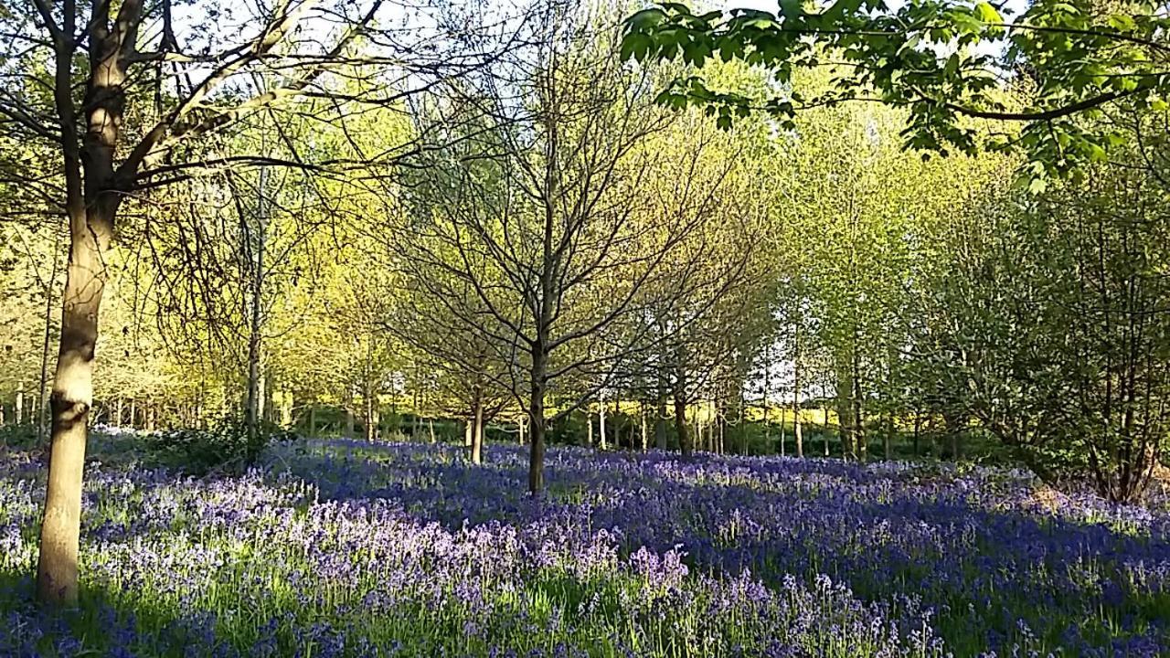 Hollicarrs - Stag Lodge York Luaran gambar