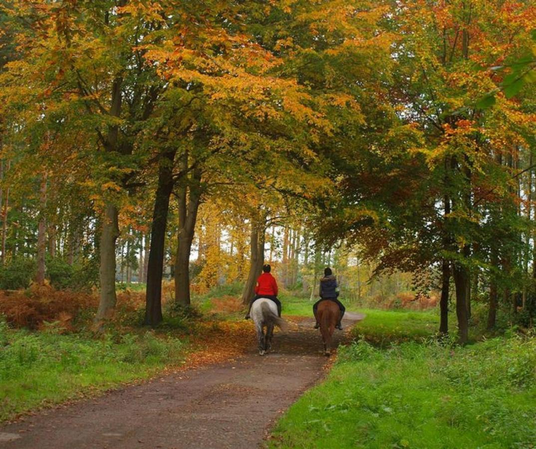 Hollicarrs - Stag Lodge York Luaran gambar