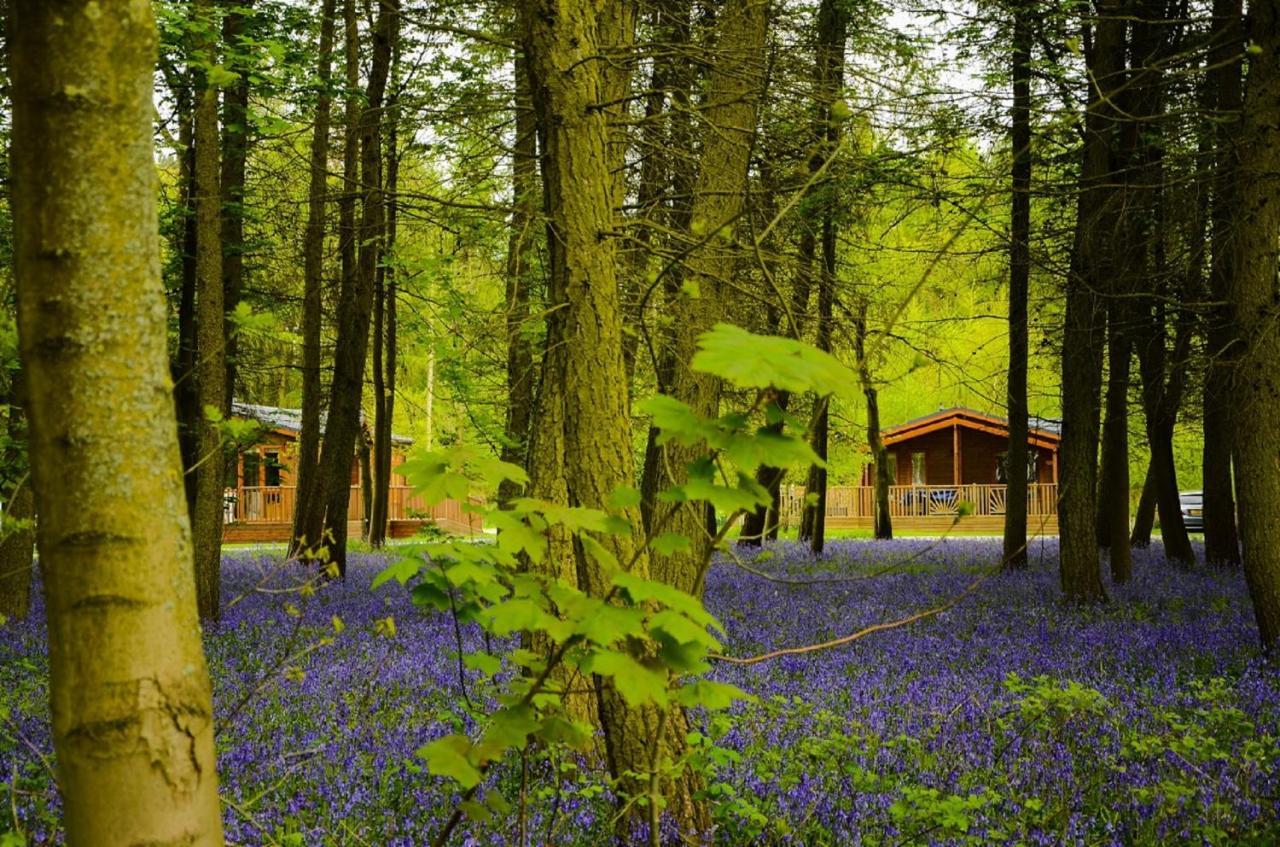 Hollicarrs - Stag Lodge York Luaran gambar