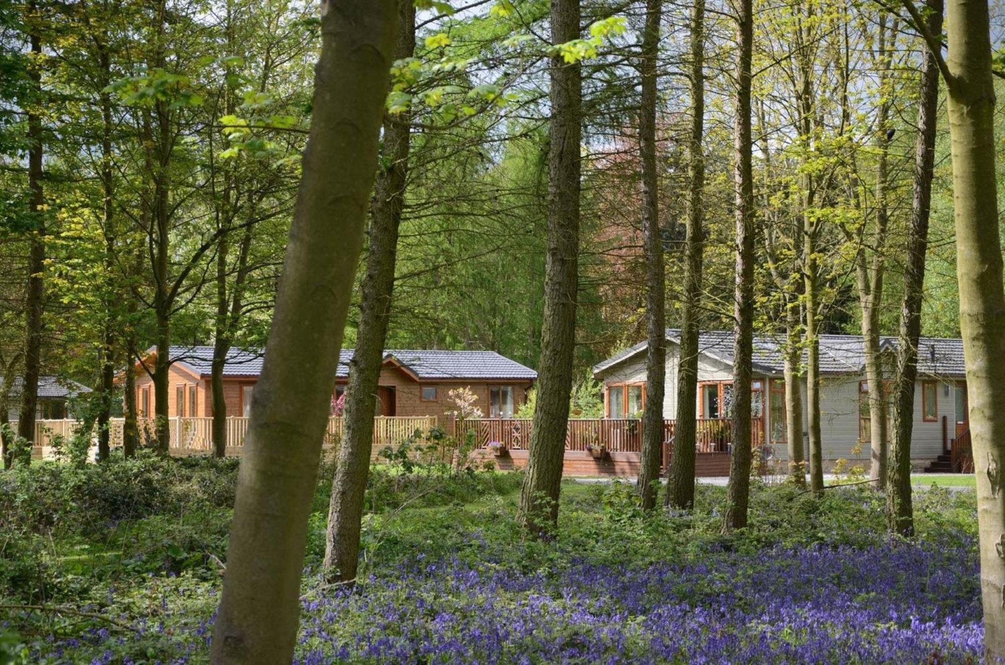 Hollicarrs - Stag Lodge York Luaran gambar
